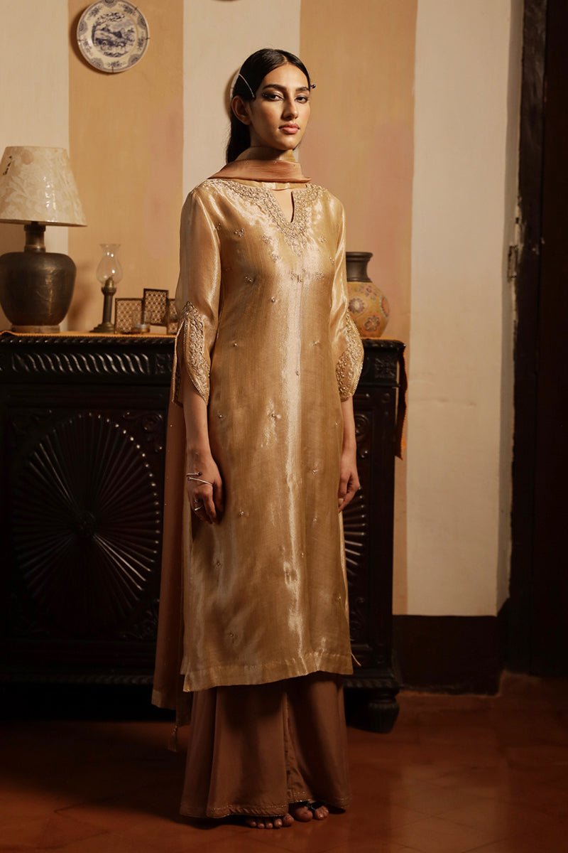 Rugby Tan Tissue Silk Salwar Suit – GangaFashions USA